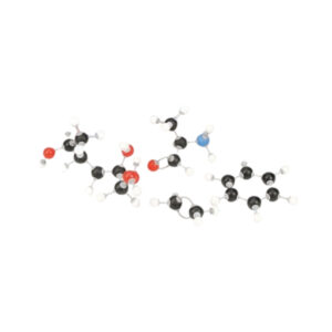 MOLECULAR MODEL SET ? BIO CHEMISTRY SET ? STUDENT