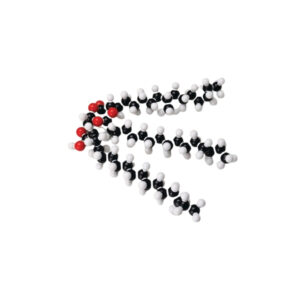 MOLECULAR MODEL SET ? FAT (GLYCERYL TRISTEARATE) (C57 H110 O6)
