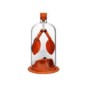LUNG DEMONSTRATION APPARATUS