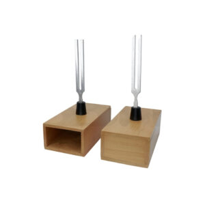 TUNING FORK ON RESONANCE BOX