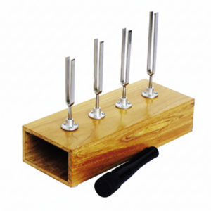 TUNING FORKS ON RESONANCE BOX