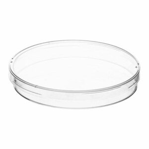 DISH, PETRI, CULTURE