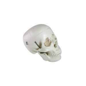 SKULL, CLASSIC, 3 PART
