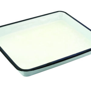 DISSECTING TRAY