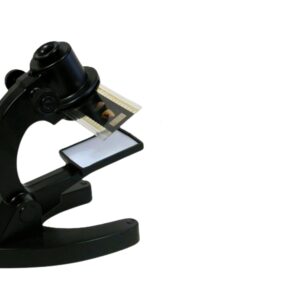 BIO-VIEWER
