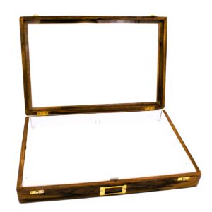 INSECT SETTING SHOW CASES