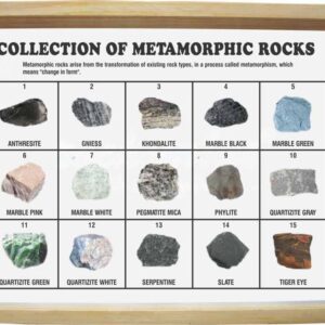 COLLECTION OF METAMORPHIC ROCKS