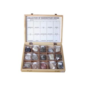 COLLECTION OF SEDIMENTARY ROCKS