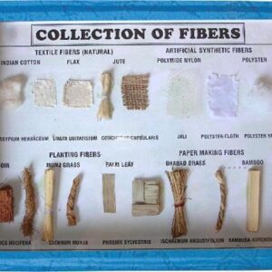 COLLECTION OF FIBERS