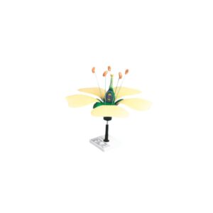 TYPICAL FLOWER