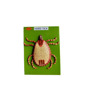 HARD TICK