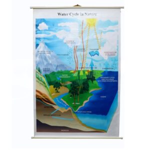 WATER CYCLE