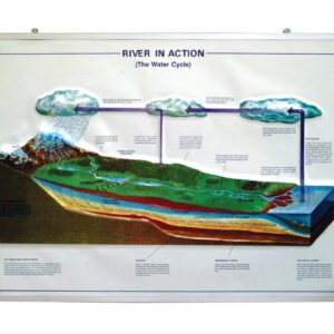 RIVER IN ACTION (Weter Cycle)