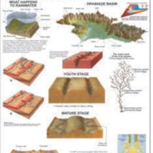 CYCLE OF EROSION