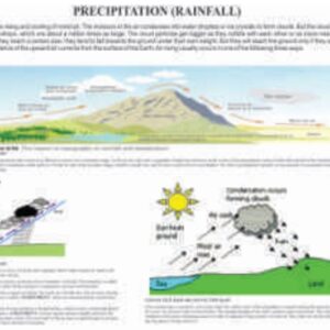 PRECIPITATION (RAINFALL)