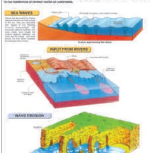 SHORELINE SYSTEM