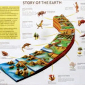 STORY OF THE EARTH