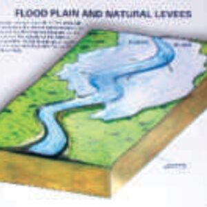 FLOOD PLAIN, OXBOW AND NATURAL AND LEAVES