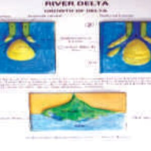 RIVER DELTA