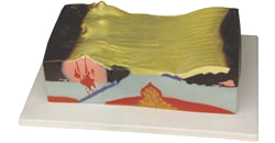 PLATE TECTONIC MODEL